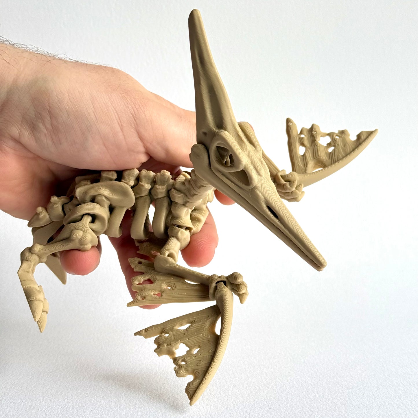 3D Printed Skeleton Pteranodon | Articulating Dinosaur Figure