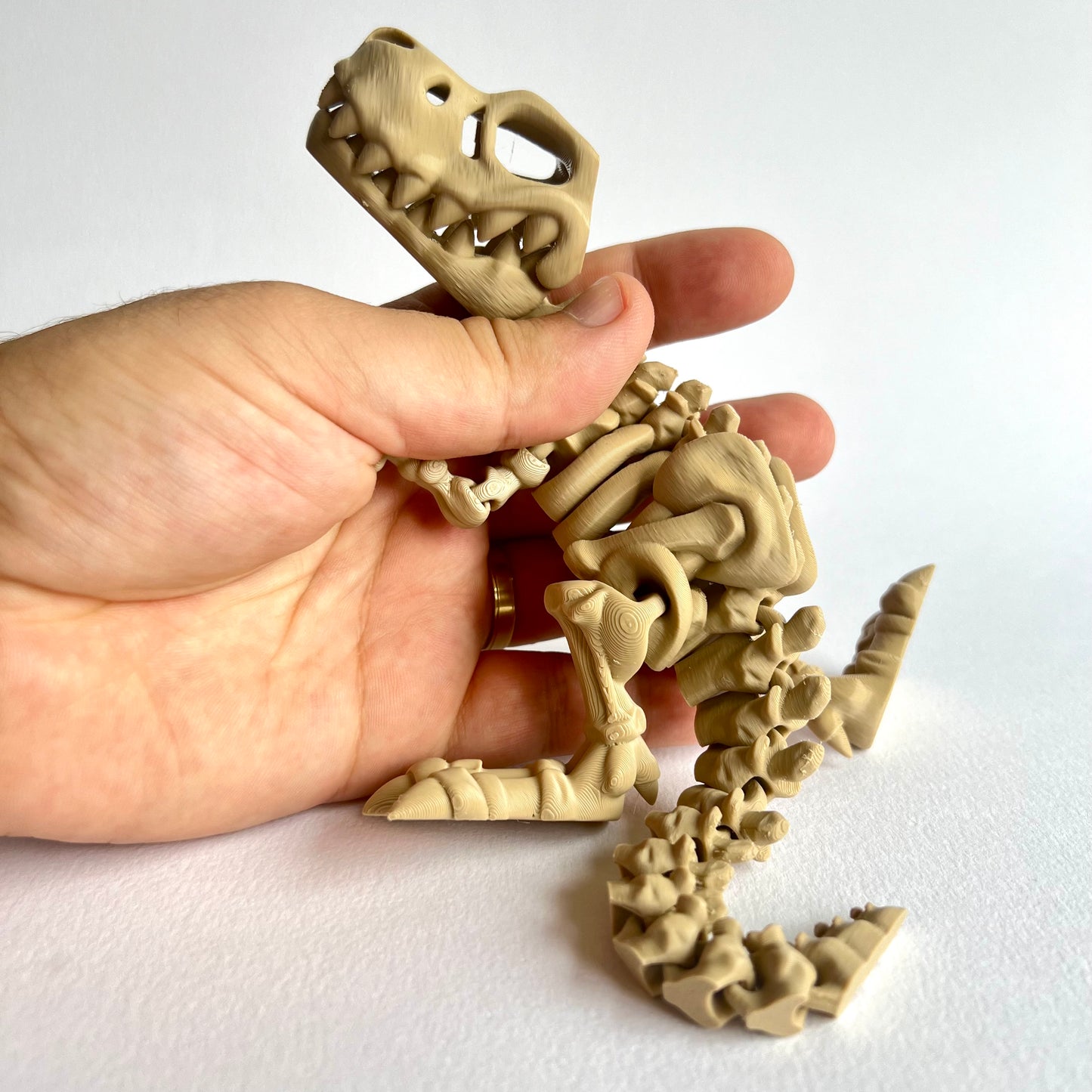 3D Printed Skeleton T-Rex | Articulating Dinosaur Figure