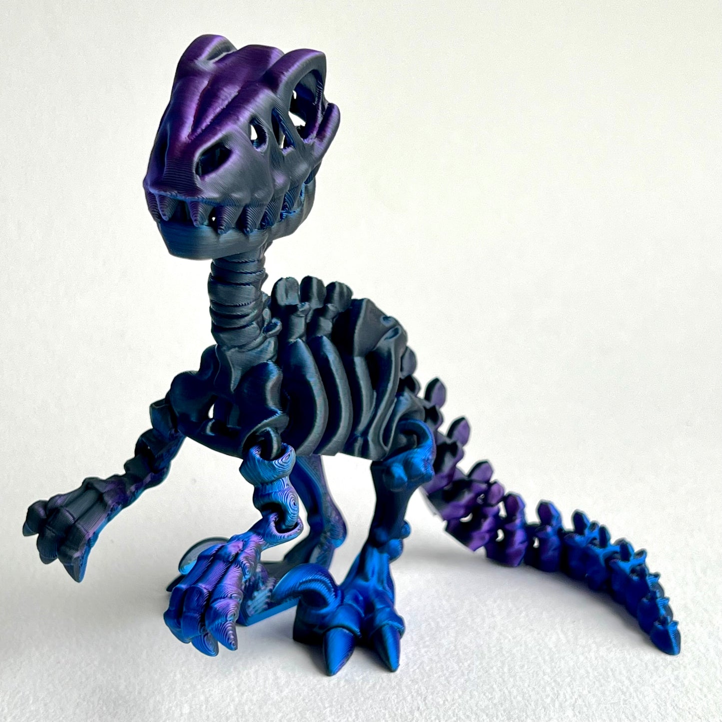 Skeleton Velociraptor | 3D Printed Articulated Dinosaur Skeleton Figure