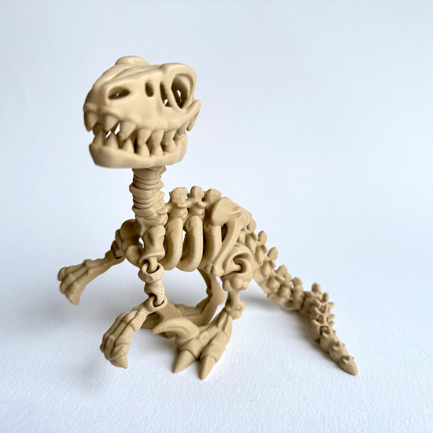 3D Printed Skeleton Velociraptor | Articulating Dinosaur Figure