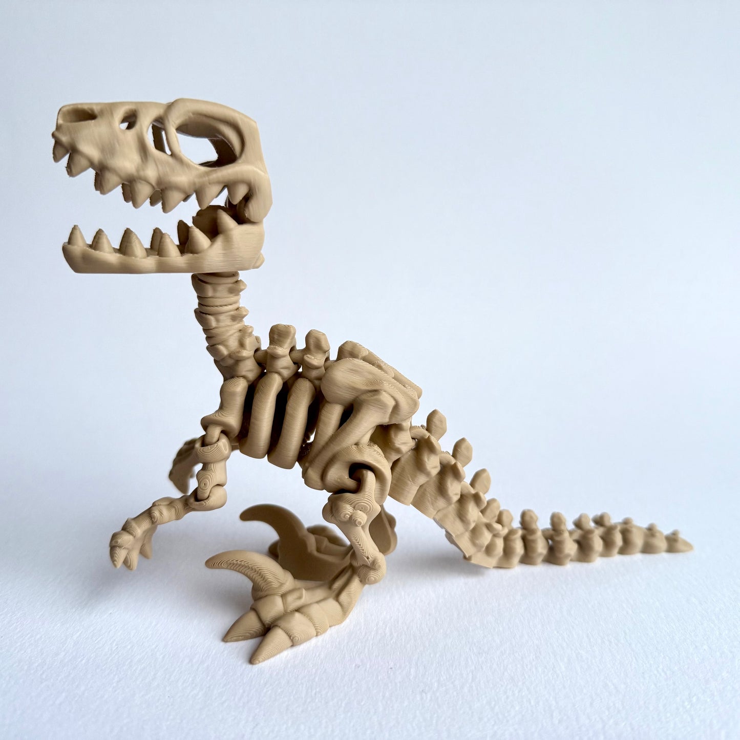 3D Printed Skeleton Velociraptor | Articulating Dinosaur Figure