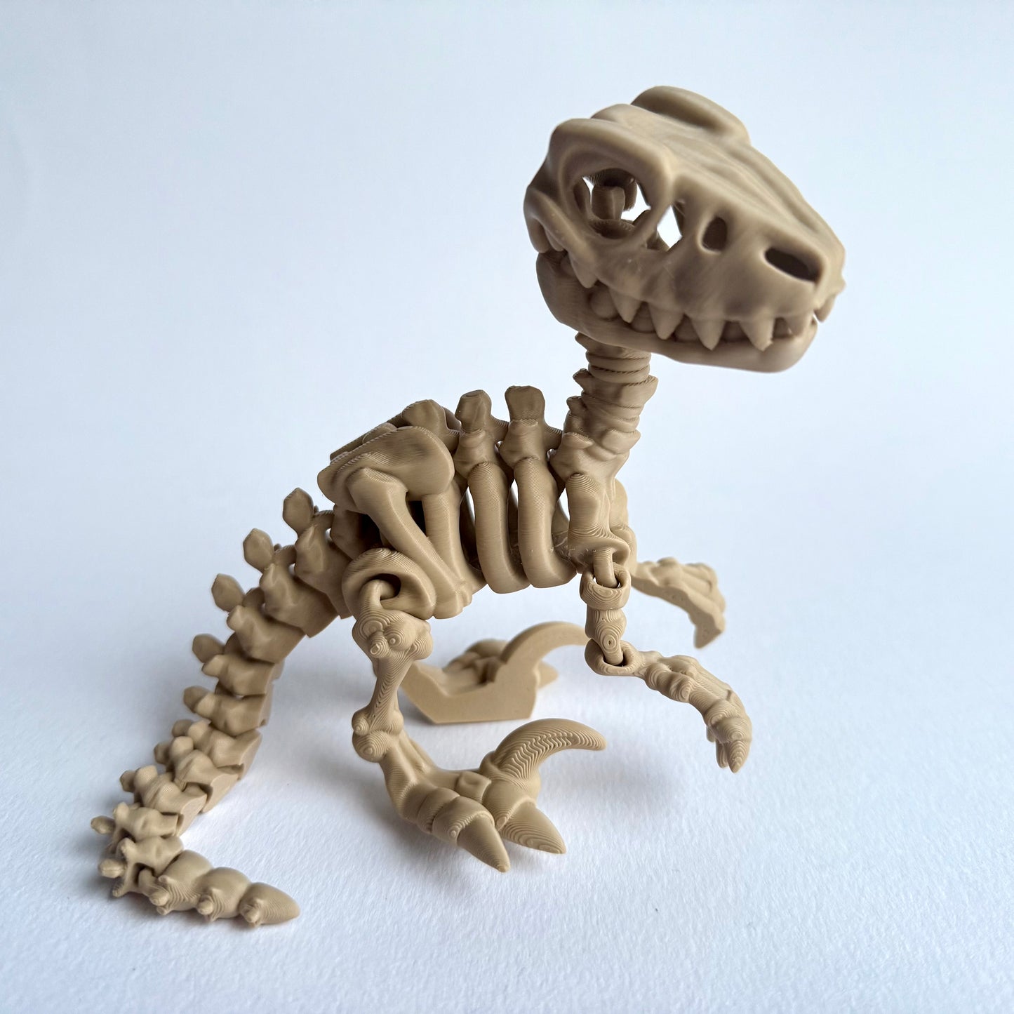 3D Printed Skeleton Velociraptor | Articulating Dinosaur Figure