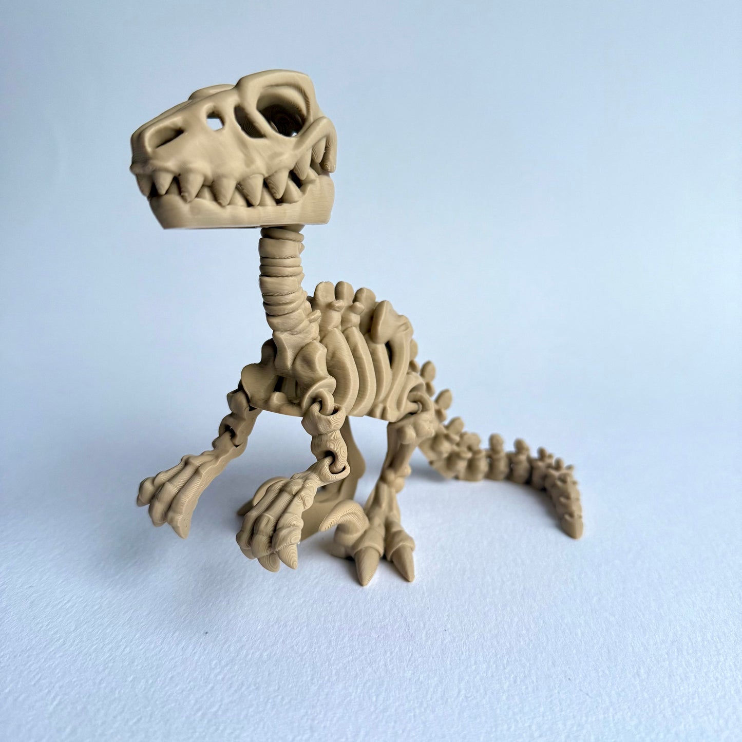 3D Printed Skeleton Velociraptor | Articulating Dinosaur Figure