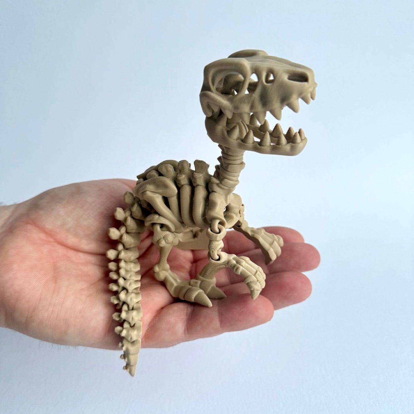 3D Printed Skeleton Velociraptor | Articulating Dinosaur Figure