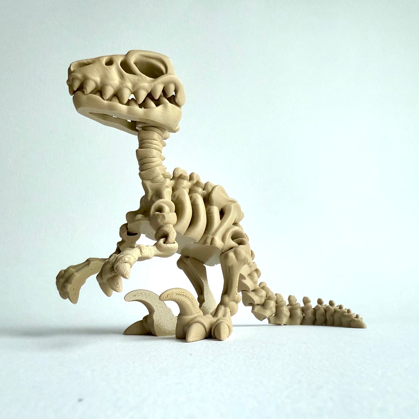 3D Printed Skeleton Velociraptor | Articulating Dinosaur Figure