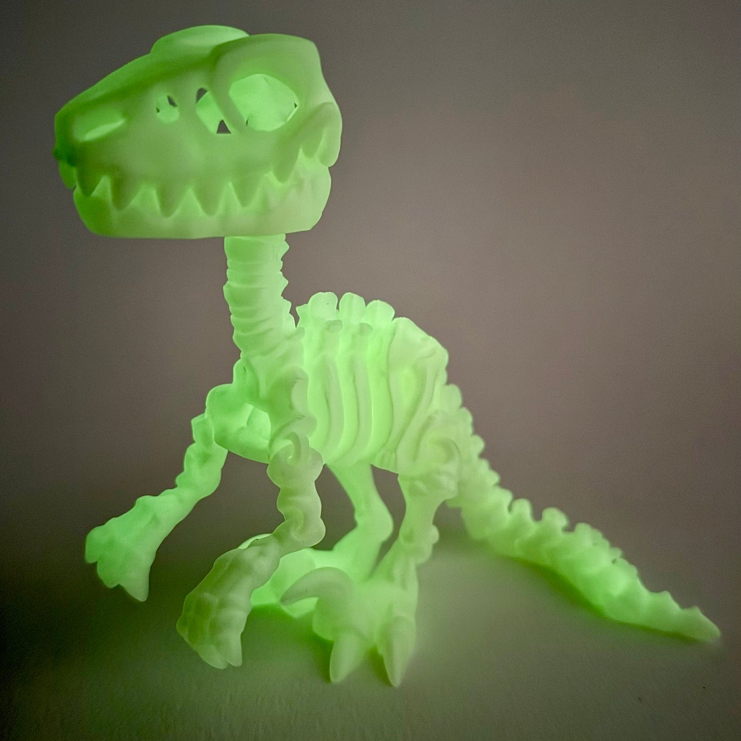 3D Printed Skeleton Velociraptor | Articulating Dinosaur Figure