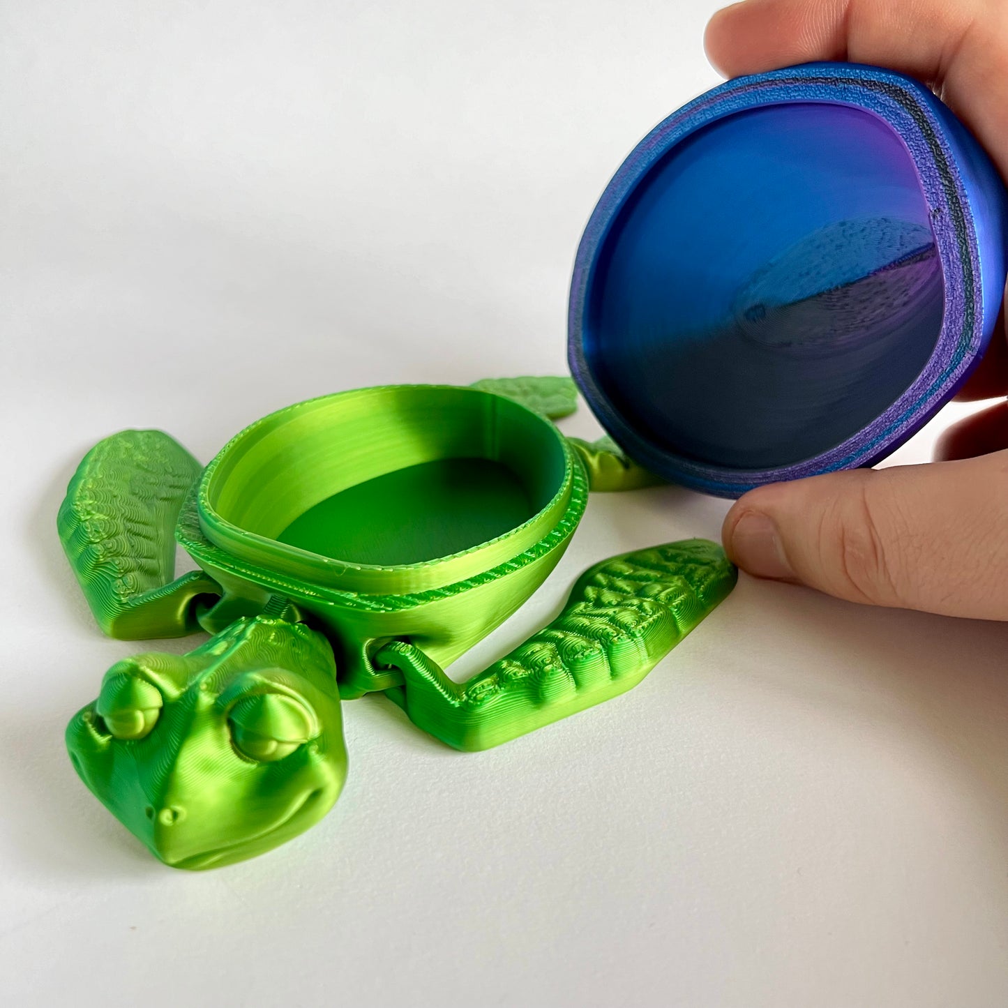 3D Printed Turtle Box | Articulating with Removable Shell