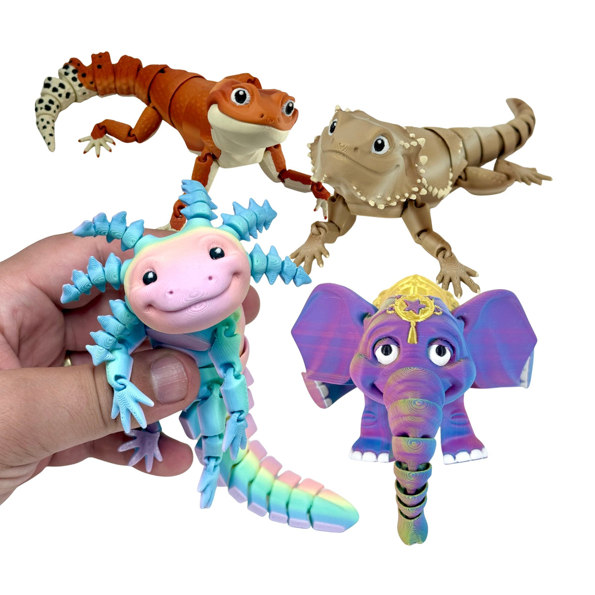 Animals