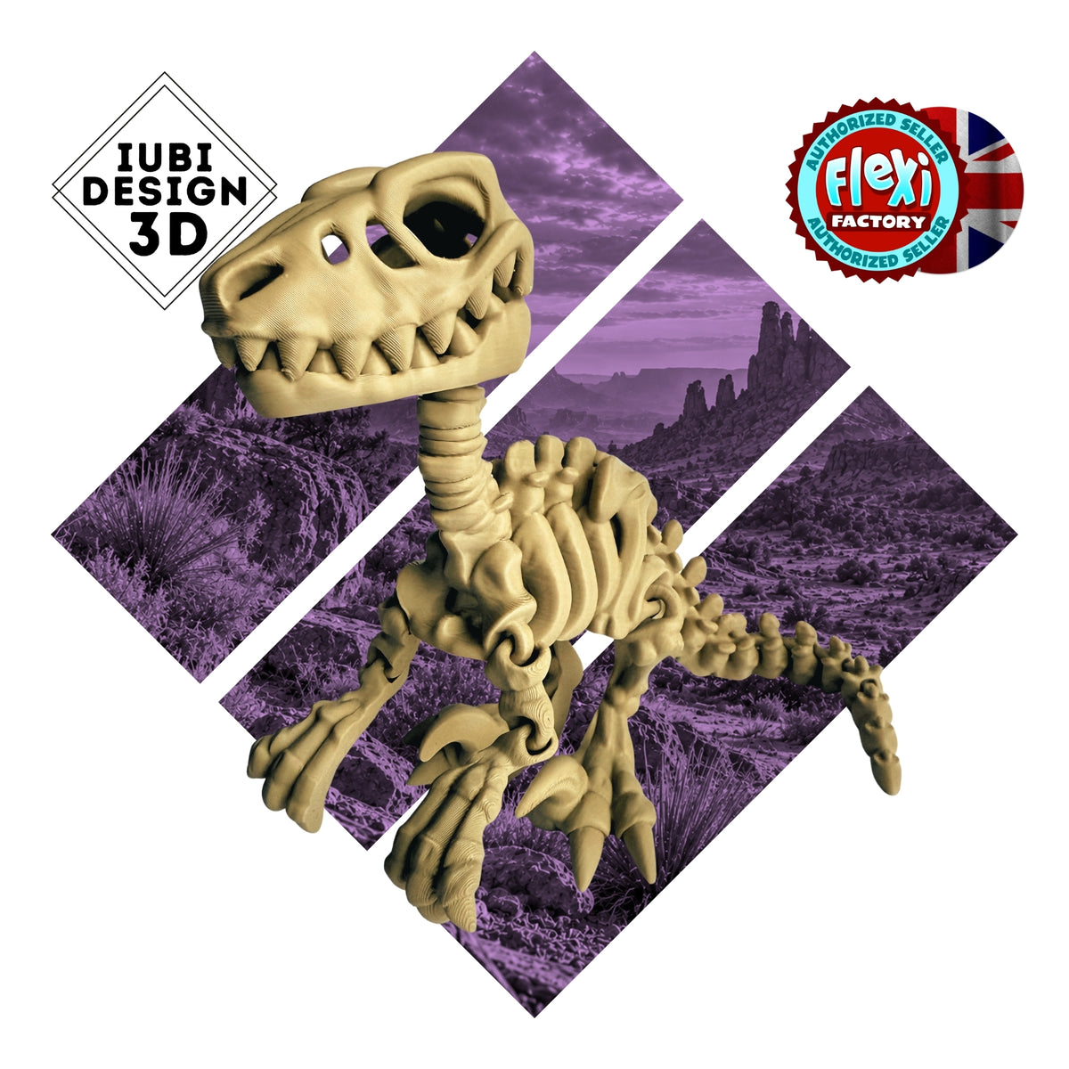 Skeleton Velociraptor | 3D Printed Articulated Dinosaur Skeleton Figure