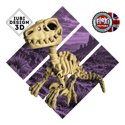 Skeleton Velociraptor | 3D Printed Articulated Dinosaur Skeleton Figure