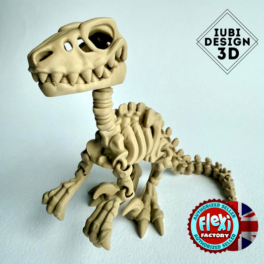 3D Printed Skeleton Velociraptor | Articulating Dinosaur