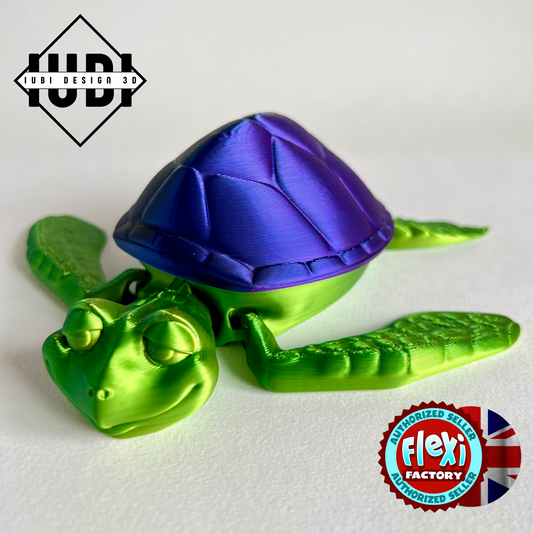 3D Printed Turtle Box | Articulating Turtle with Removable Shell