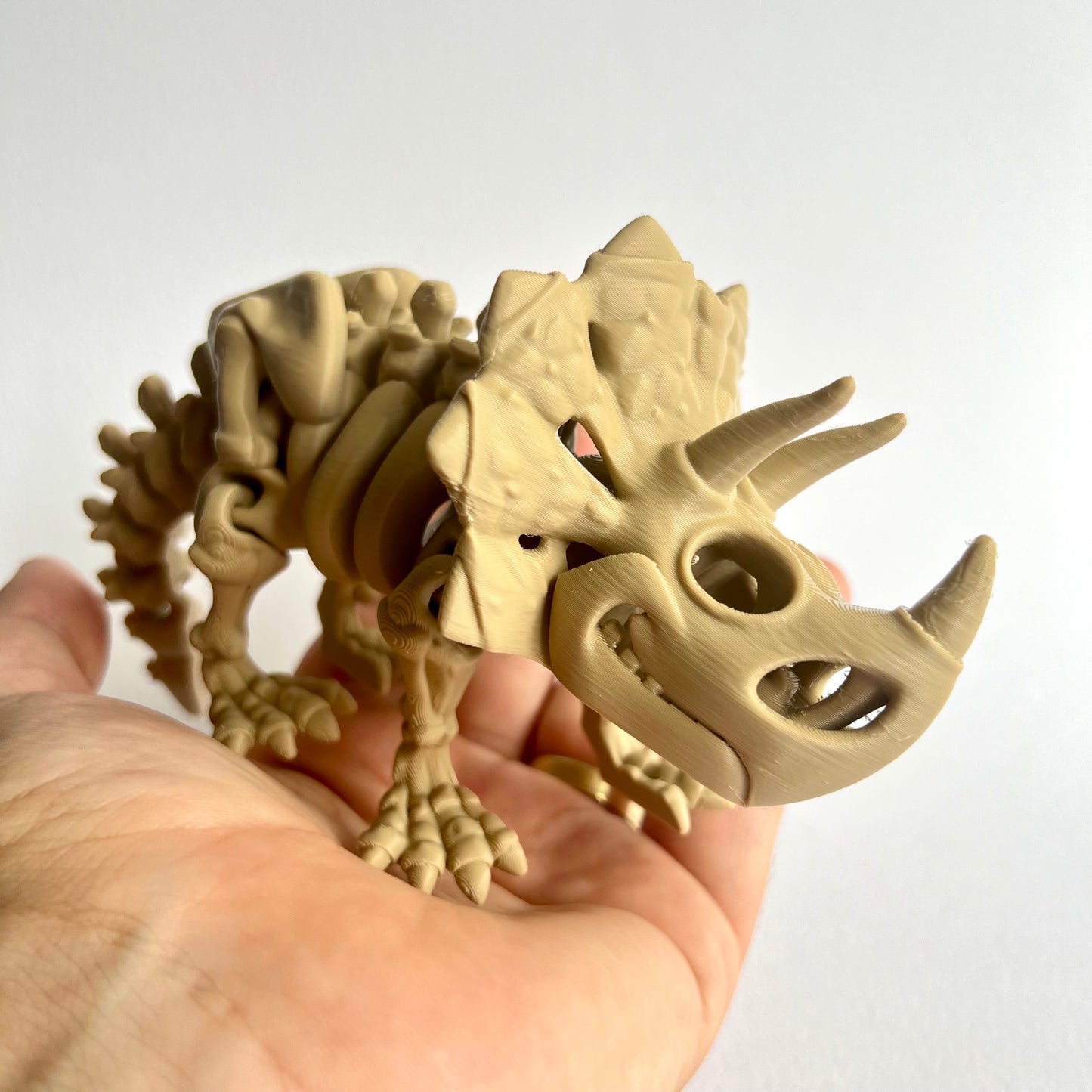 3D Printed Skeleton Triceratops | Articulating Dinosaur