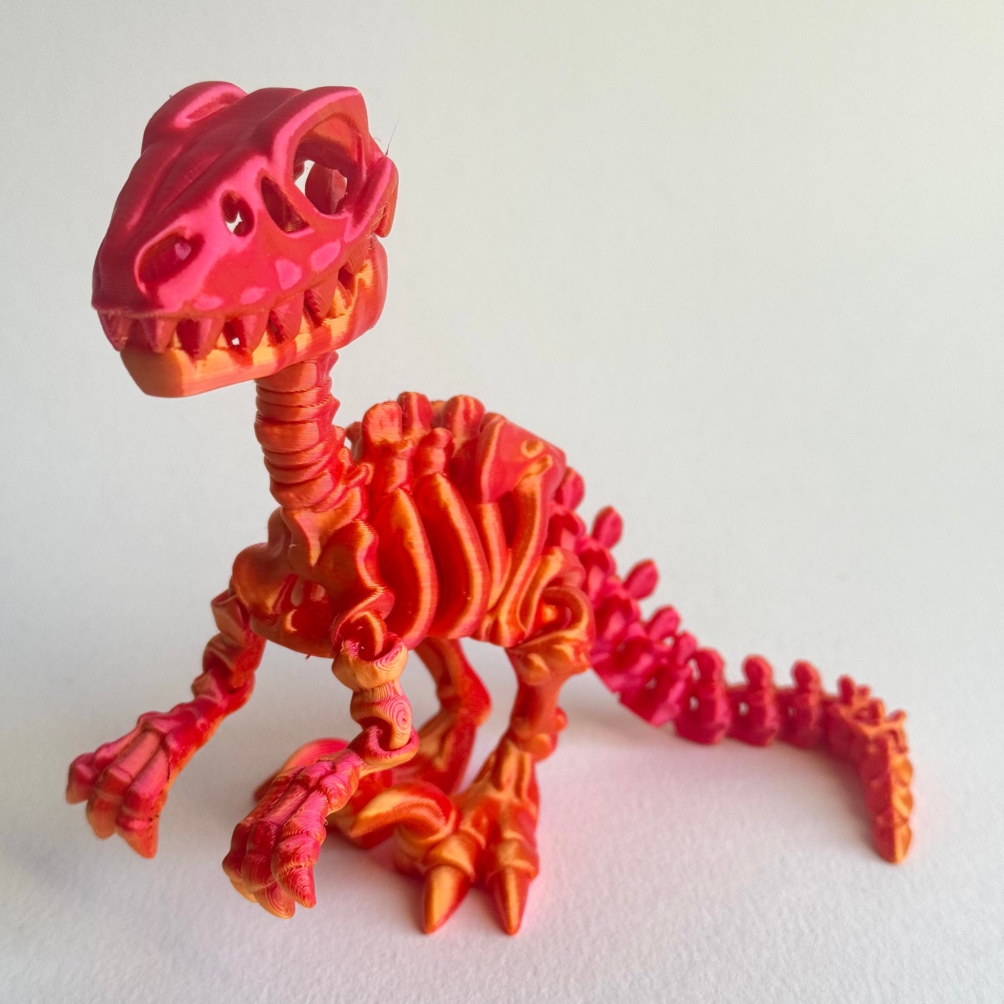 3D Printed Skeleton Velociraptor | Articulating Dinosaur