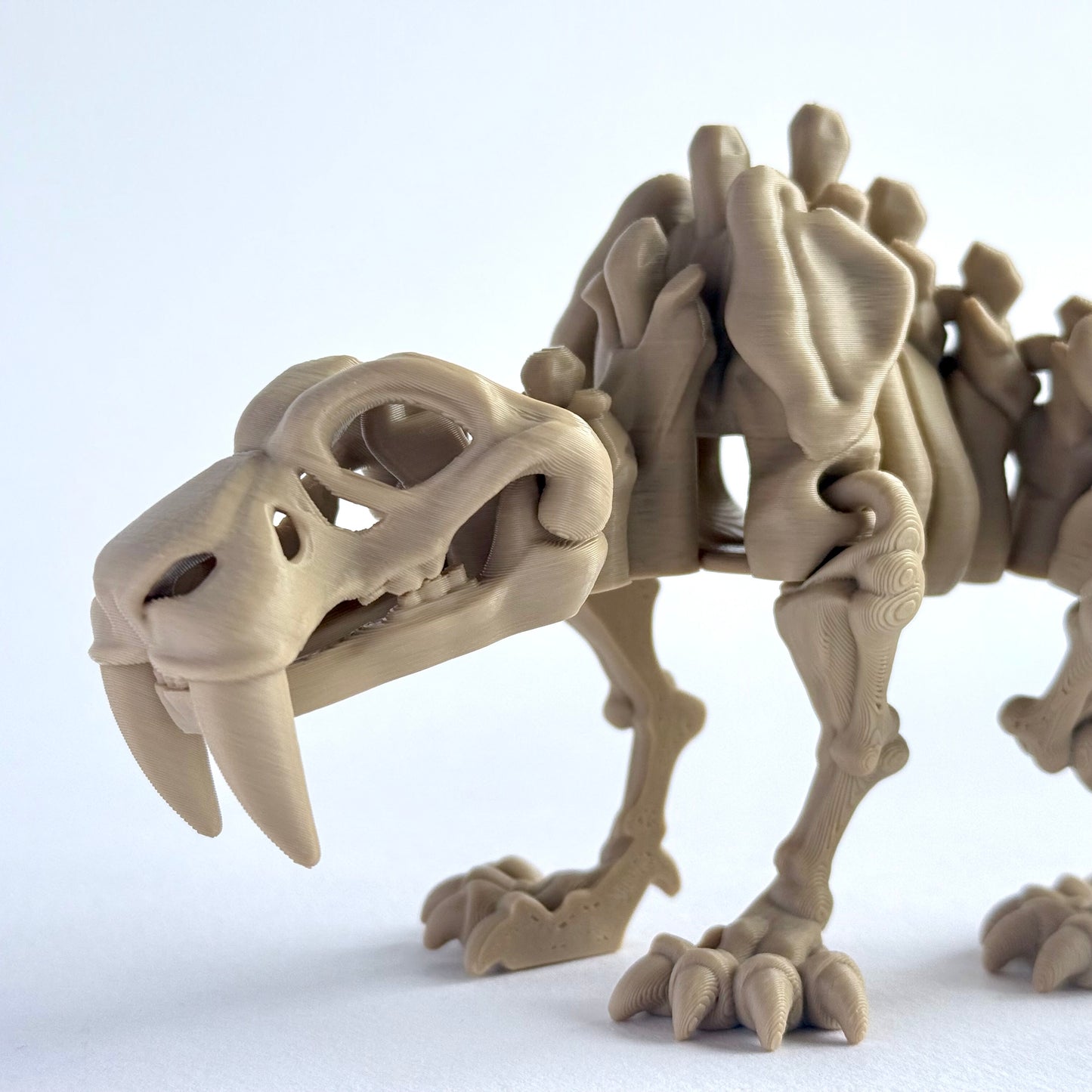Skeleton Saber Tooth Tiger (Smilodon) | 3D Printed Articulated Dinosaur Figure