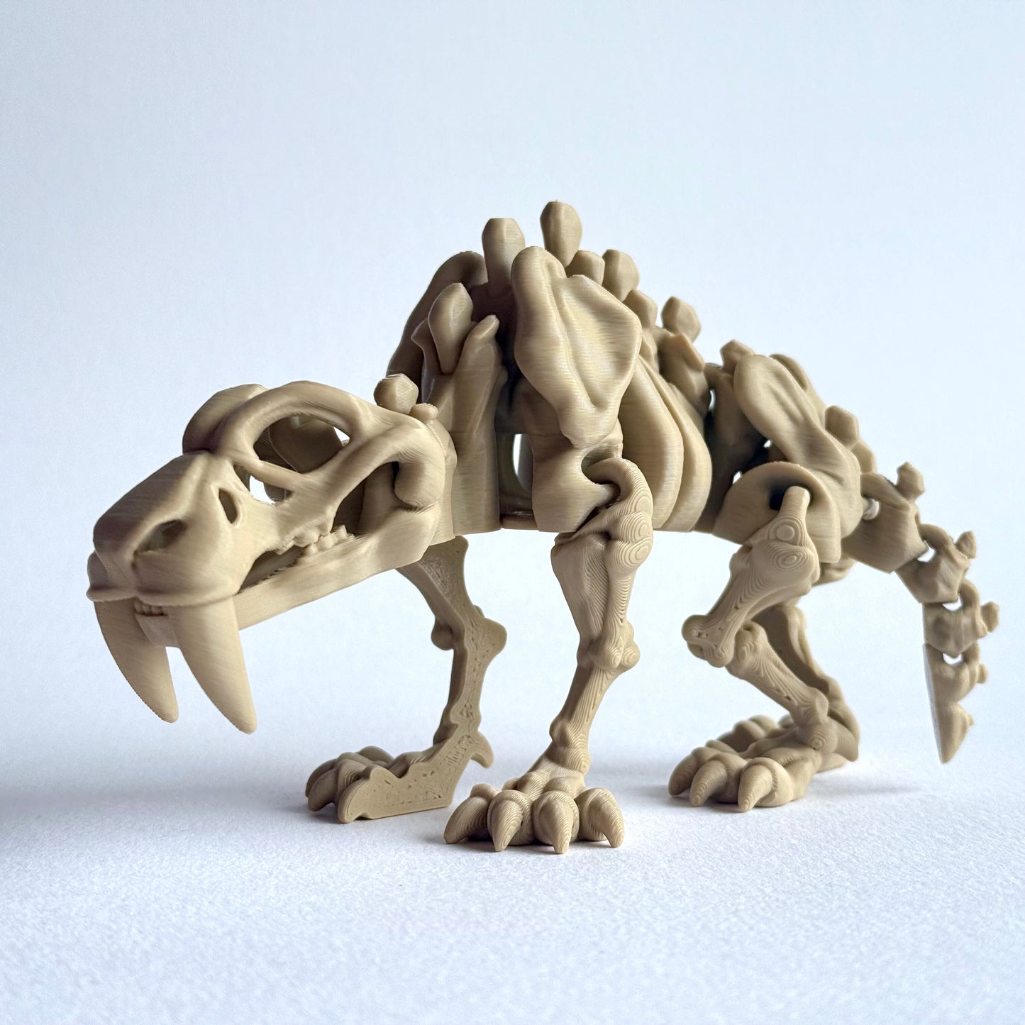 Skeleton Saber Tooth Tiger (Smilodon) | 3D Printed Articulated Dinosaur Figure