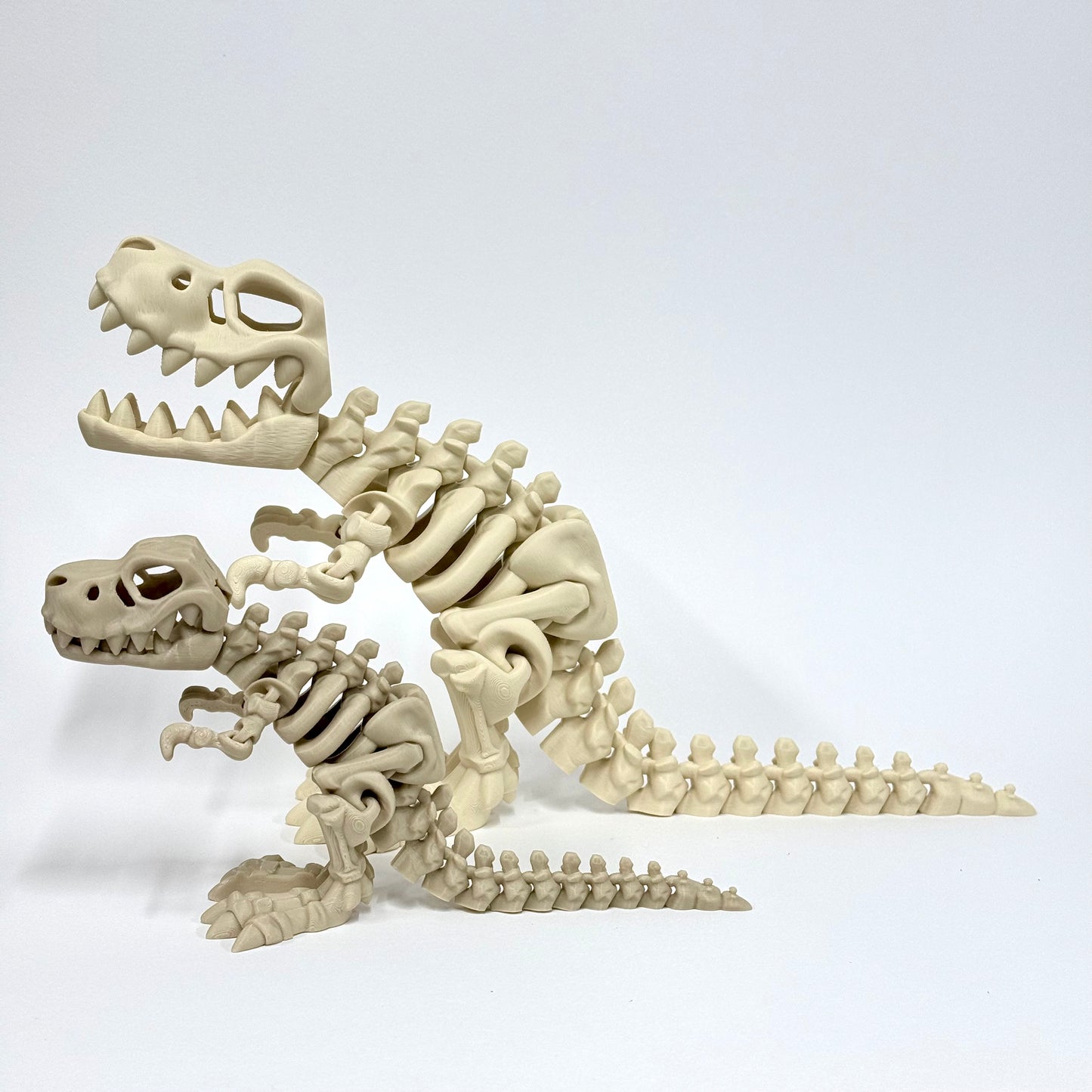 Skeleton T-Rex XL | 3D Printed Articulated Giant Dinosaur Skeleton Figure