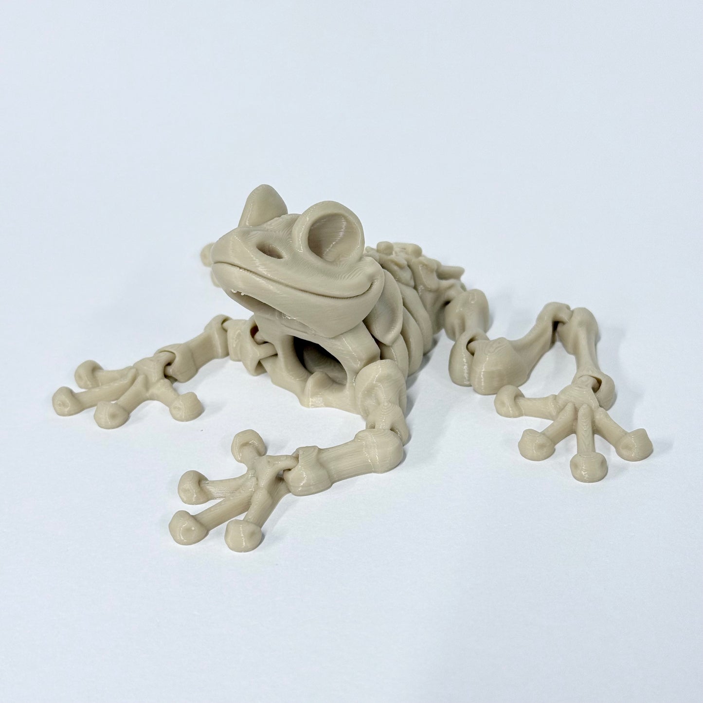 Skeleton Frog | 3D Printed Articulated Frog Skeleton Figure