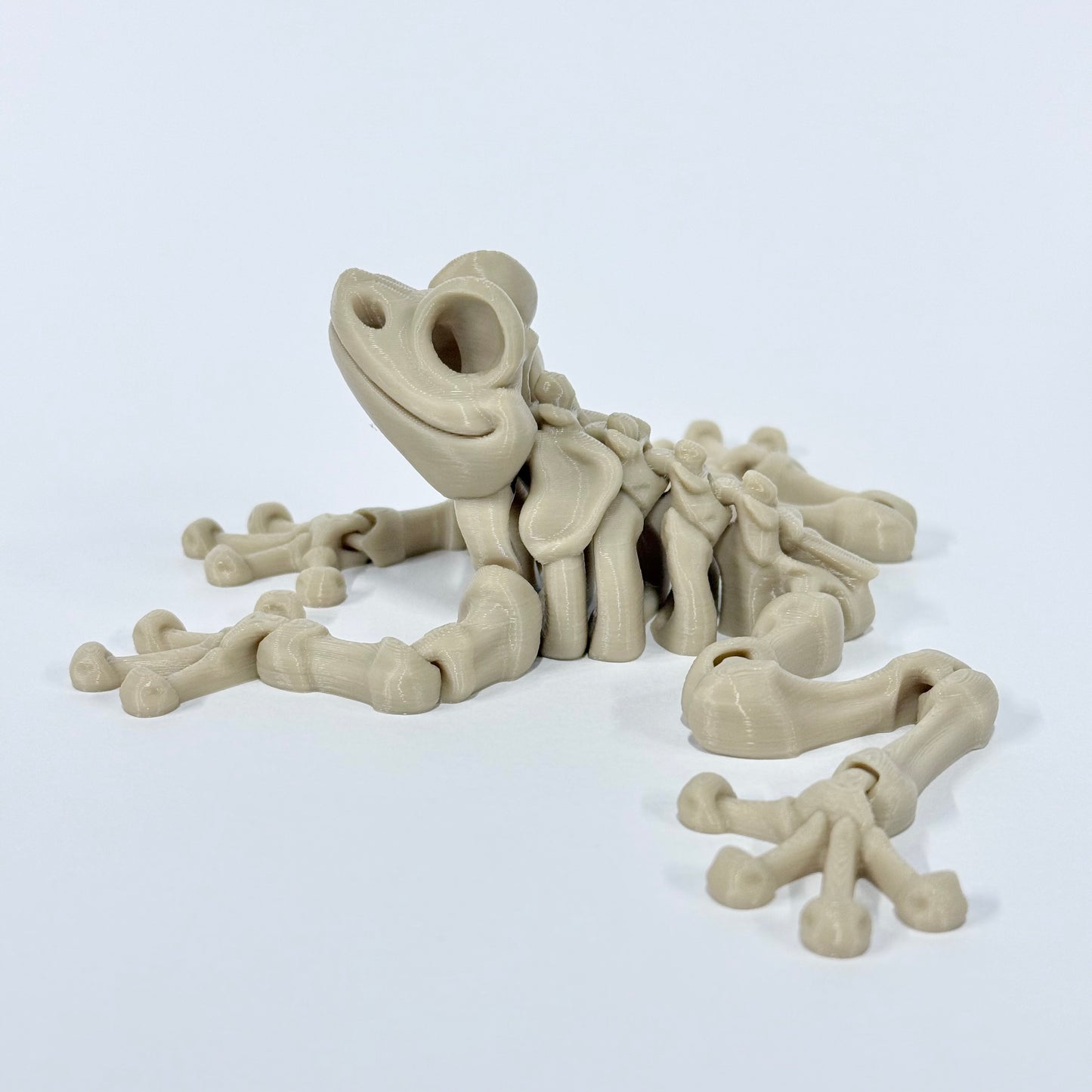 Skeleton Frog | 3D Printed Articulated Frog Skeleton Figure
