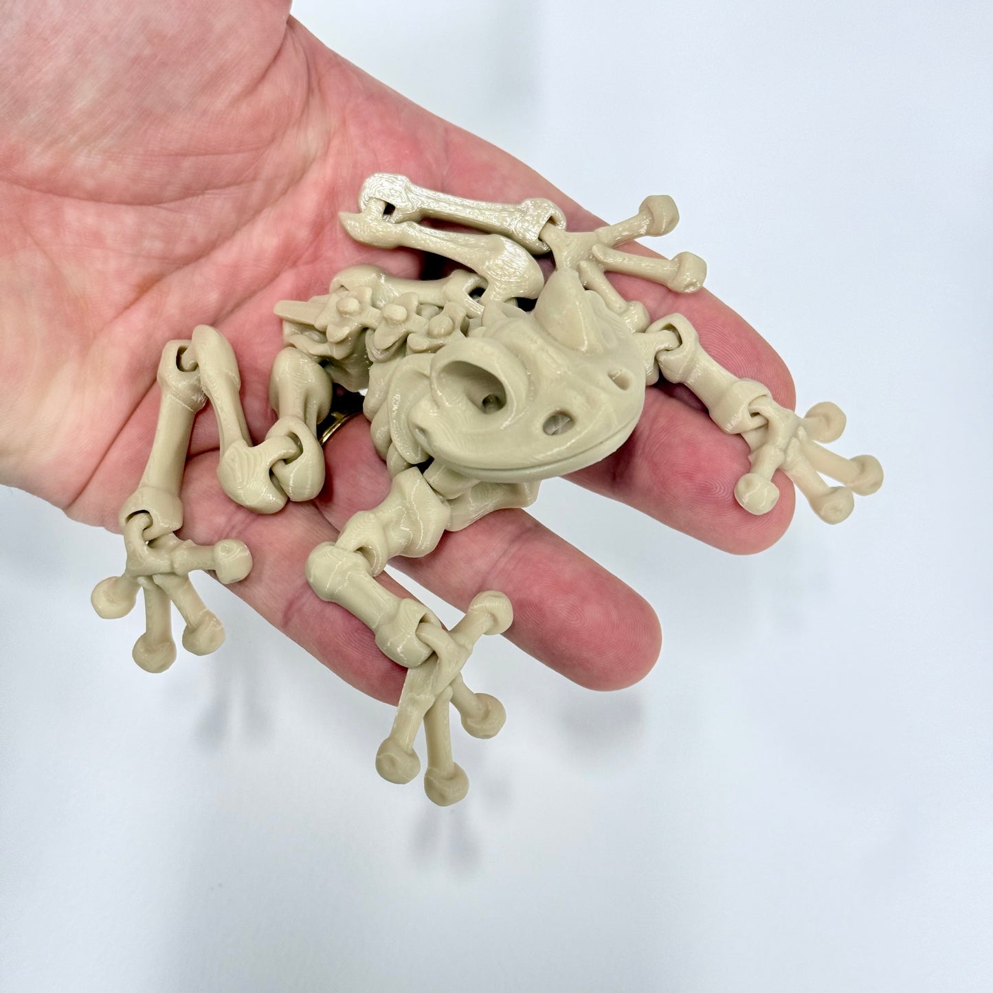 Skeleton Frog | 3D Printed Articulated Frog Skeleton Figure