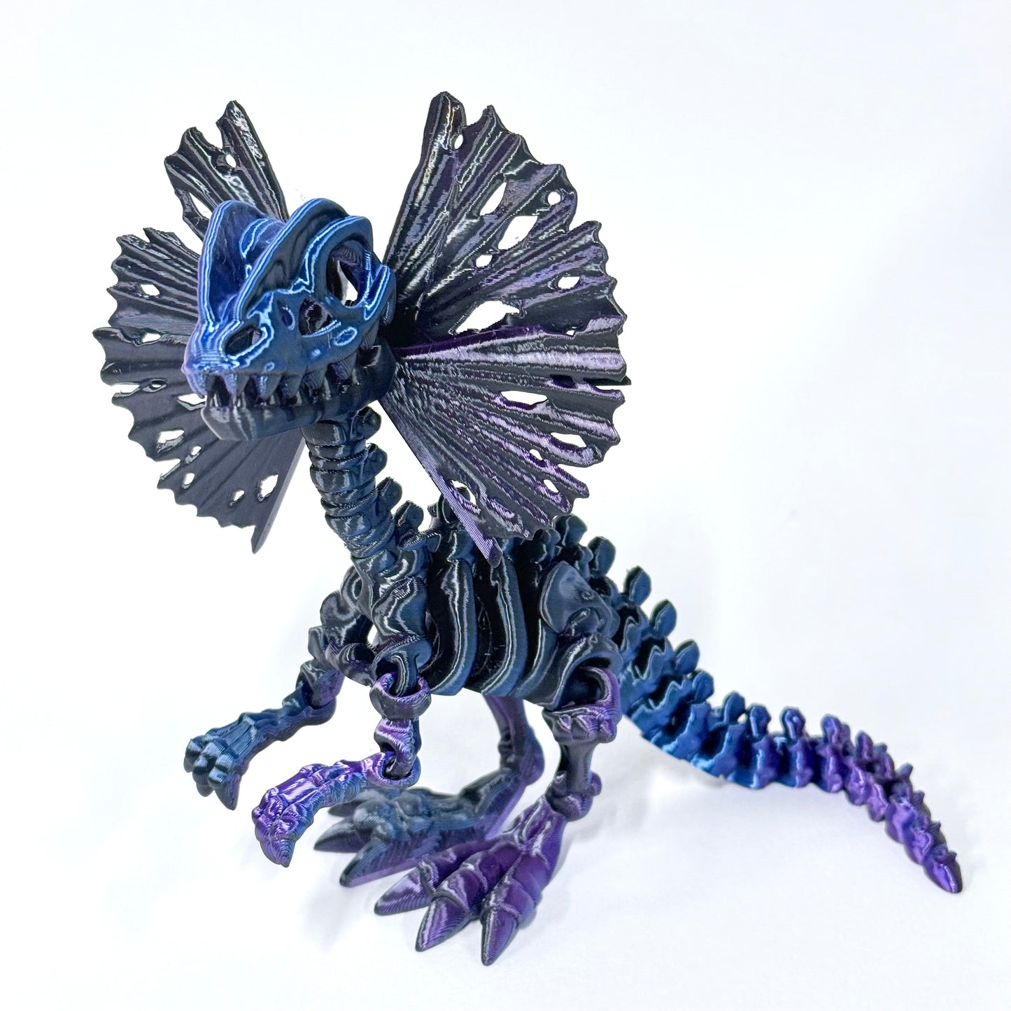 Skeleton Dilophosaurus | 3D Printed Articulated Dinosaur Skeleton Figure