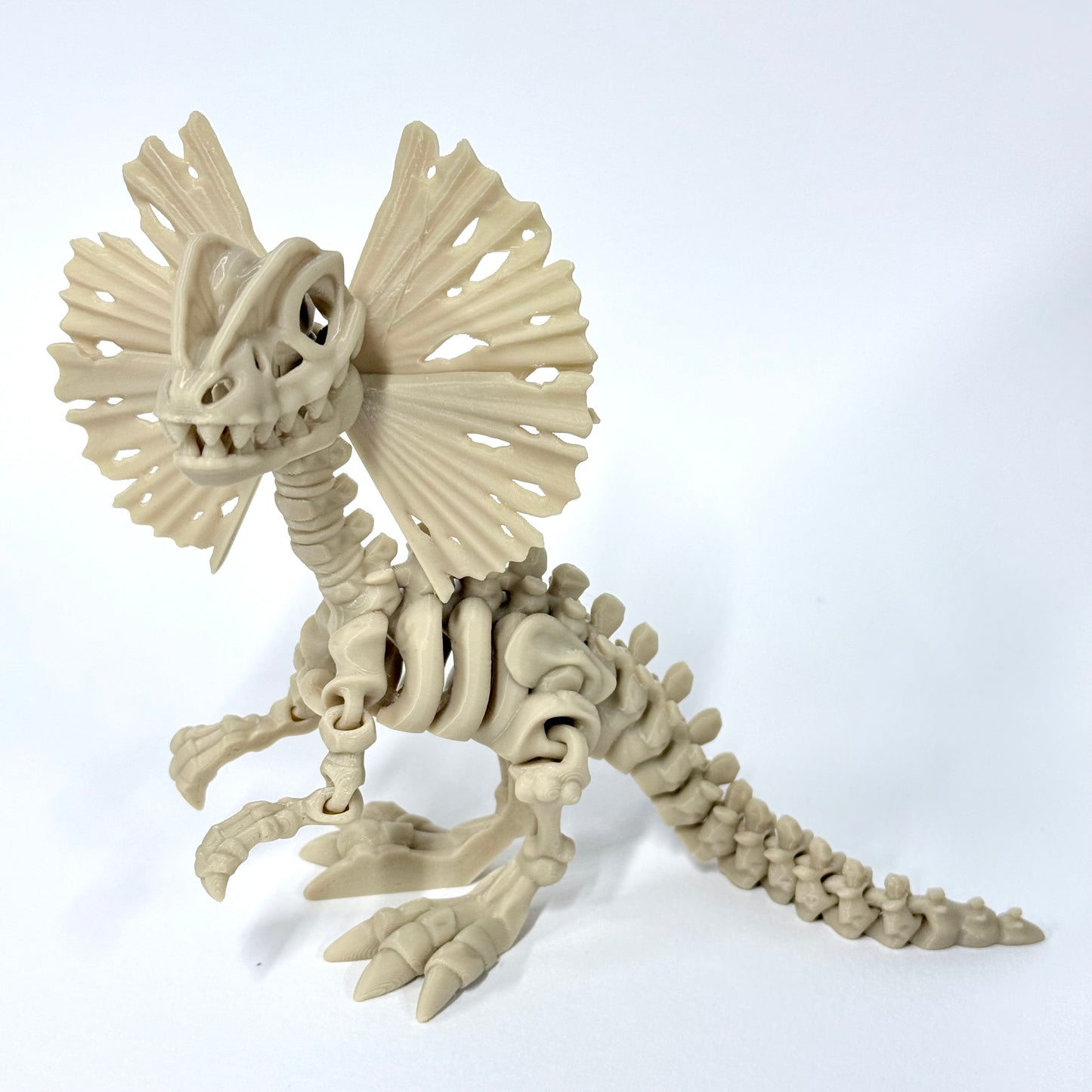 Skeleton Dilophosaurus | 3D Printed Articulated Dinosaur Skeleton Figure