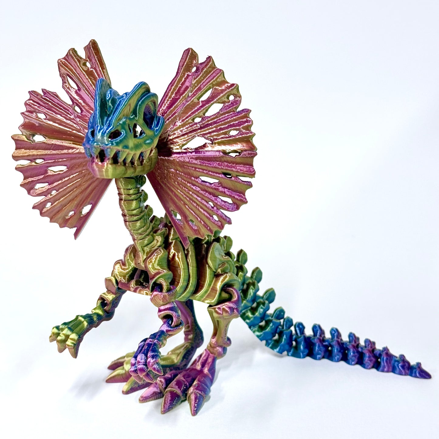 Skeleton Dilophosaurus | 3D Printed Articulated Dinosaur Skeleton Figure