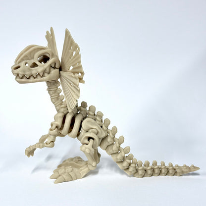 Skeleton Dilophosaurus | 3D Printed Articulated Dinosaur Skeleton Figure