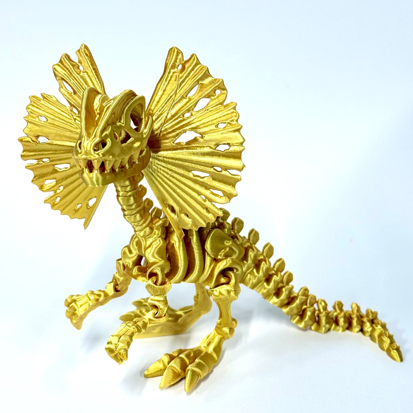 Skeleton Dilophosaurus | 3D Printed Articulated Dinosaur Skeleton Figure