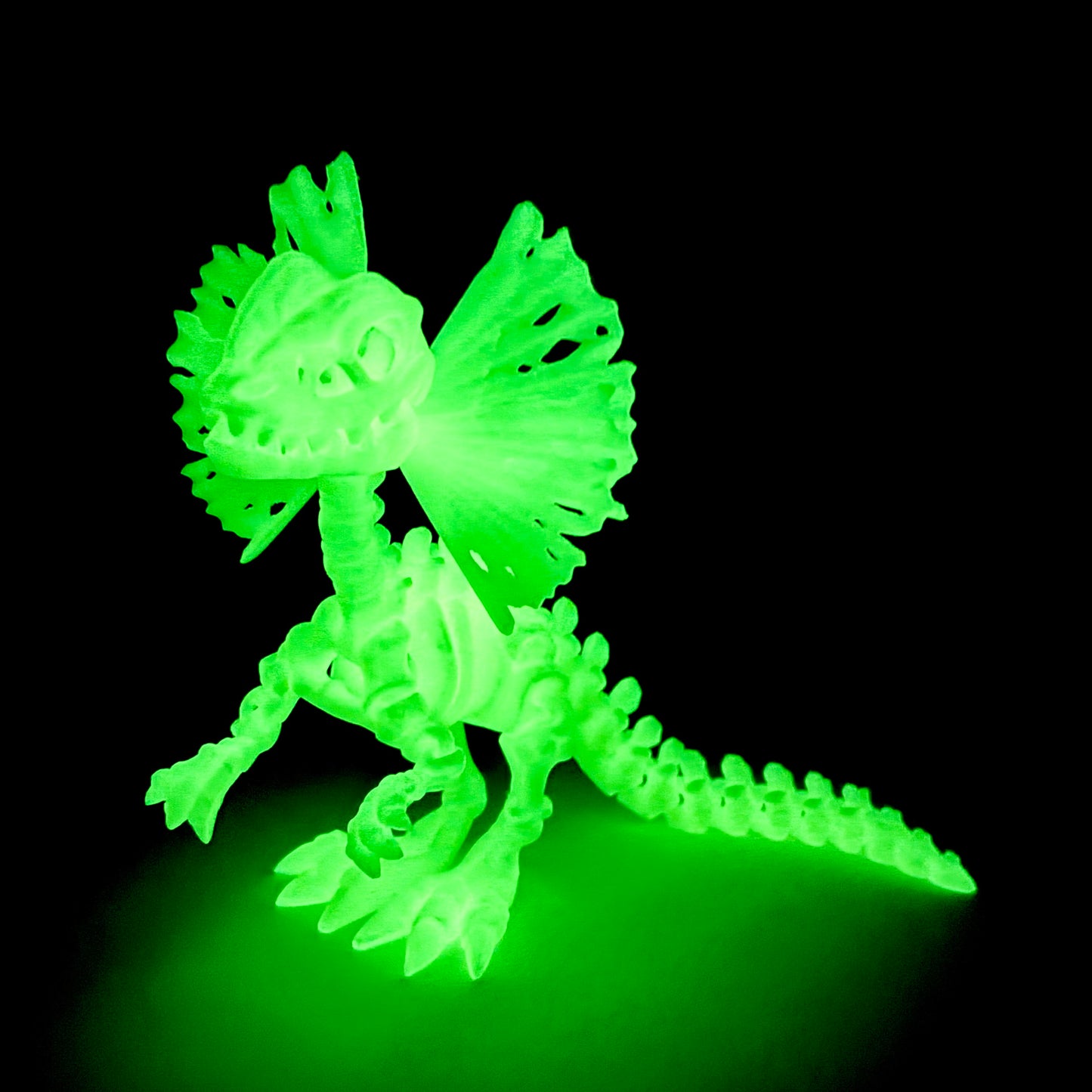 Skeleton Dilophosaurus | 3D Printed Articulated Dinosaur Skeleton Figure