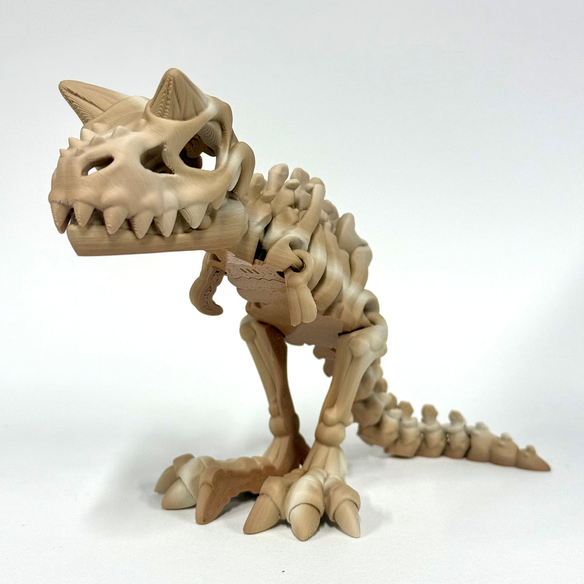 Skeleton Carnotaurus | 3D Printed Articulated Dinosaur