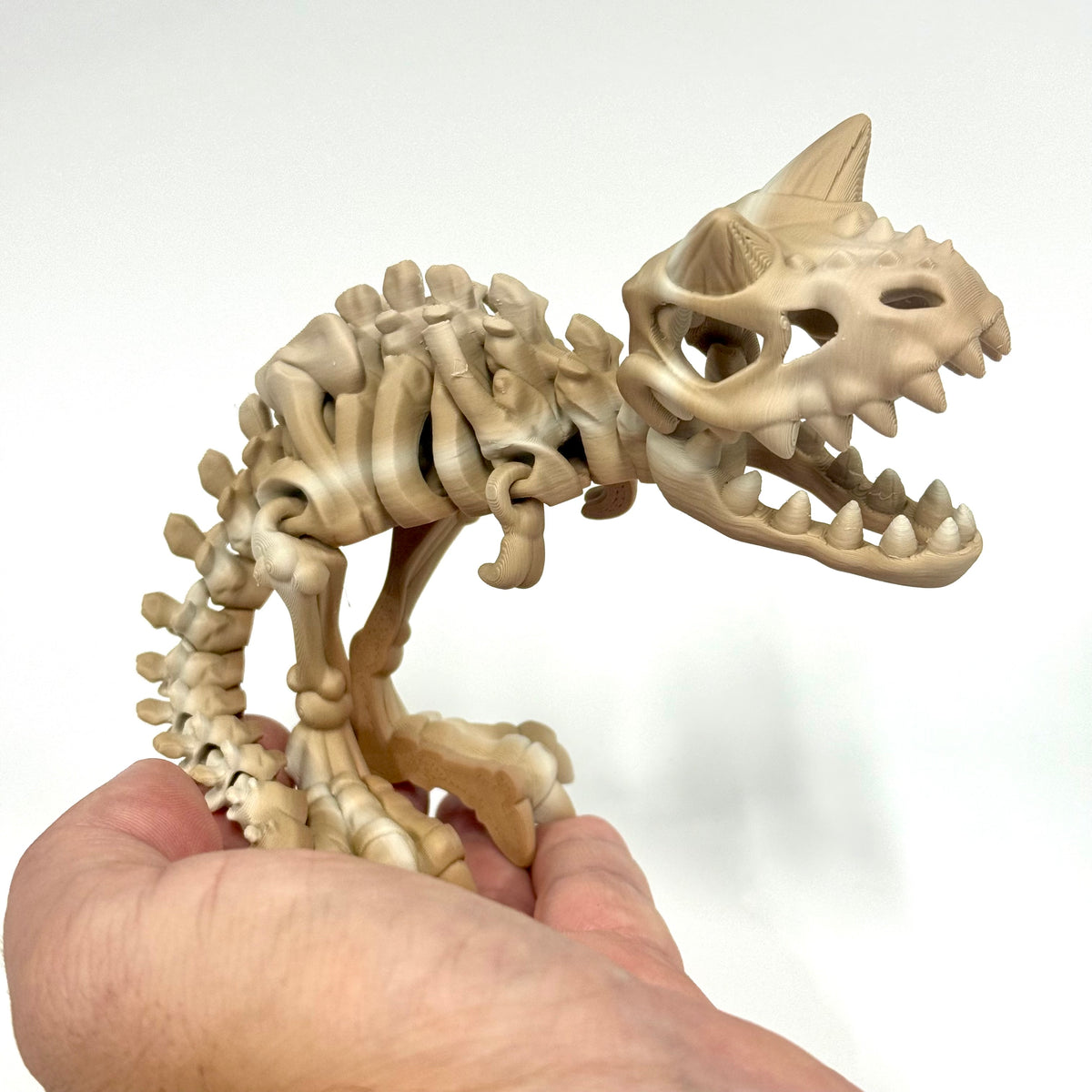 Skeleton Carnotaurus | 3D Printed Articulated Dinosaur