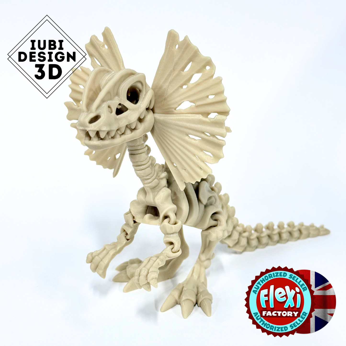 Skeleton Dilophosaurus | 3D Printed Articulated Dinosaur Skeleton Figure